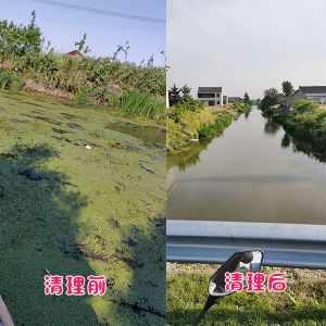 盐城客户乡镇河道水草清理效果展示