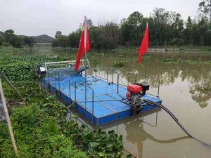 福建连江敖江“清道夫”上线 日吞水葫芦500吨